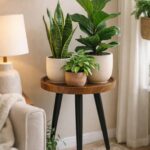 Indoor Plant Styling Ideas That Instantly Warm Your Home (1)