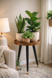 Indoor Plant Styling Ideas That Instantly Warm Your Home (1)